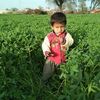 fiazahmad5231