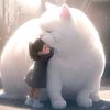 mohaedq11