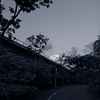 lightordarkness_0