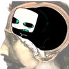 pursuer31