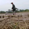 jakri_hamami