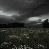sveg10_18