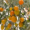 tien_nguyen09041994