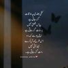 uhabiba.6