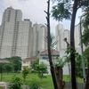nurulsyafii5