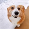 kingofbananananananana1