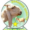 mouton279