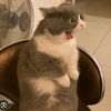 user.garangsangat