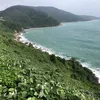 manphungduy