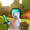 sr.bot_xd