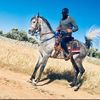 rafatdahdoul
