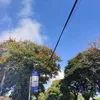 ankkmpung_7