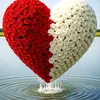user2026800977979