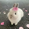 vanhbeeeeeee