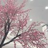 kama_mere