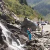 mirelagrozavugole