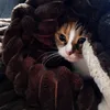 ilya.sidorov.33