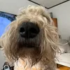 mackzdagreat