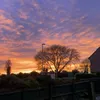 tilly_2471