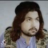 shbeer.ahmad447