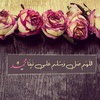 saber_elsayed