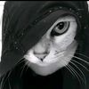 mrizky_adity