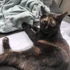 jiji8059170