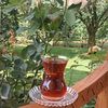 nisan1357
