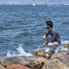 ammor_one