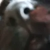 uneakom