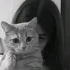 5lai_6
