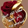 user5r10395r8m