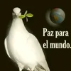 anselmito_garbancito