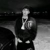 el.pana_panda1