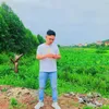 noidepzaidapxetrenpho
