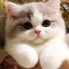 _yennhiha_21