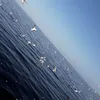 salaelrha