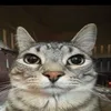 doibuoijqk0010