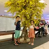 thucuyen2504