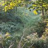 riverstream6