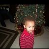 d1_armon