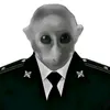danchik.smex