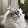 deena.86