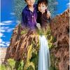 bashirahmad2655