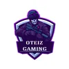 oteizgaming