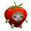 violabungaa5