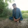 muhammad.shamshad341