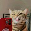 _usernotfound742