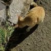 thirya_71