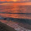 faria_426